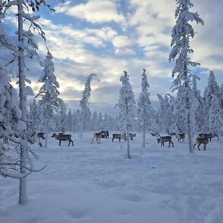 Poromoision Pirtti *