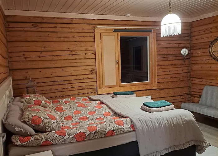 Poromoision Pirtti וילה