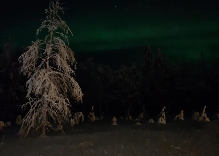 Poromoision Pirtti Peurasuvanto