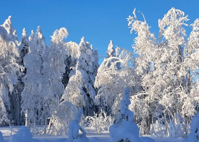 וילה Poromoision Pirtti *